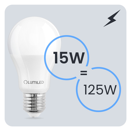 6x Żarówka LED E27 A65 15W = 125W 2025lm 6500K Zimna 260° LUMILED