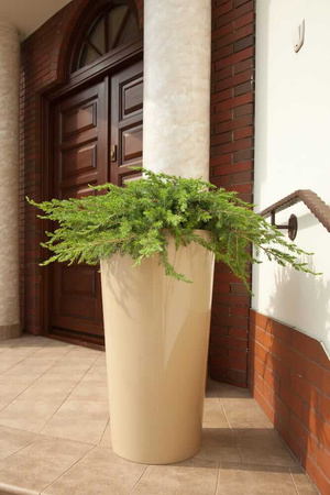 Donica Stożek Ogrodowa z Wkładem Doniczka Dekoracyjna 40x40cm Domowa Okrągła do Kwiatów Czarna POŁYSK