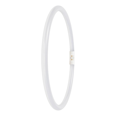 Świetlówka LED Kołowa 2GX13 T5 21.5W 3200lm 6500K Zimna 120° Ledvance