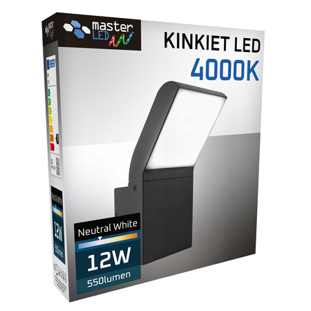 Kinkiet Ogrodowy Elewacyjny Lampa Zewnętrzna LED 12W 4000K IP54
