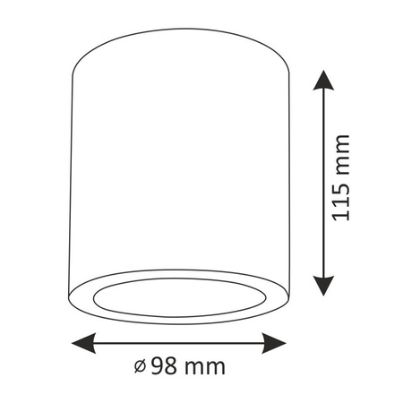Oprawa sufitowa natynkowa tuba metalowa spot JUPITER 10 GOLDLUX (Polux) DOWNLIGHT E27