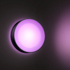 Philips HUE Daylo Lantern Kinkiet Zewnętrzny Okrągły 17465/30/P7