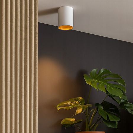 Oprawa Natynkowa Halogenowa Tuba Reflektor Spot GU10 Okrągła Biała Złota Gold Masterled