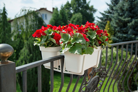 Uchwyt do Skrzynki Doniczki Balkonowej Regulowany LOBELIA Ceglasty