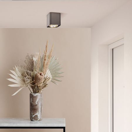 Oprawa Natynkowa Punktowa Spot GU10 Czarna Złota XENO Sanico Goldlux