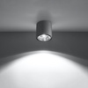 Lampa Sufitowa Oprawa Natynkowa SPOT TUBA GU10 Cylindryczna Szara Nowoczesna Tiube Sollux