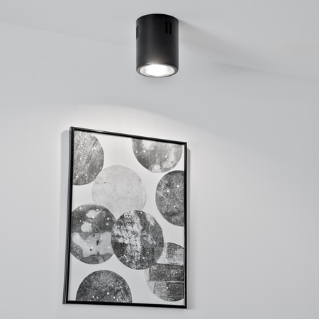 Oprawa Sufitowa Natynkowa Stała Okrągła APUS 10 Spot TUBA Czarna E27