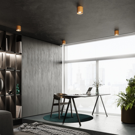 Lampa Sufitowa Oprawa Natynkowa SPOT TUBA GU10 Cylindryczna Złota Minimalistyczna Mika Sollux