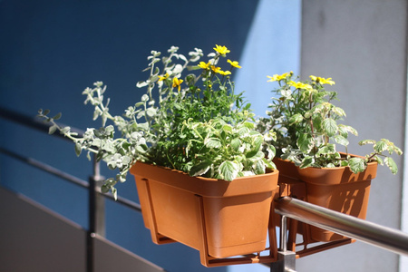 Uchwyt do Skrzynki Doniczki Balkonowej Regulowany LOBELIA Ceglasty