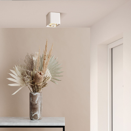 Oprawa Natynkowa Punktowa Spot GU10 Biała XENO Sanico Goldlux