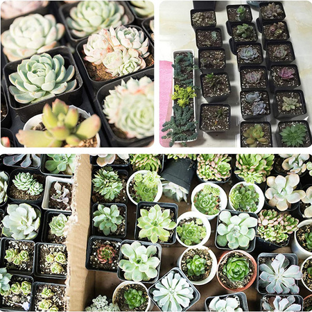 Zestaw 5x Doniczka Produkcyjna do Rozsady Pikowania Wysiewu Nasion Warzyw 11x11x12 cm