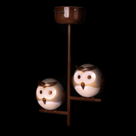 Lampa Sufitowa OWL 2XG9 LED Sowy Brązowa Milagro