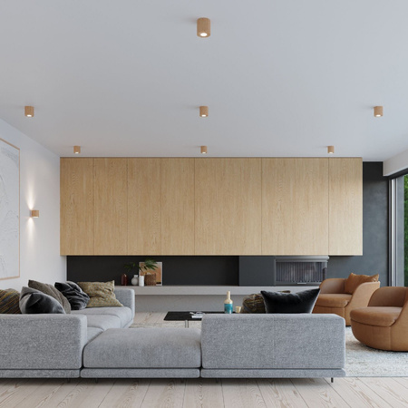 Lampa Sufitowa Oprawa Natynkowa SPOT TUBA GU10 Cylindryczna Brązowa Skandynawska Orbis Sollux