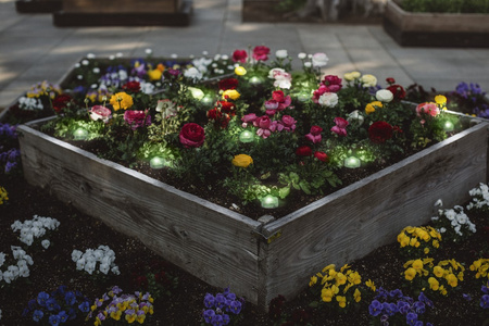 Dekoracyjne punkty świetlne LED RGB SMART+ WiFi GARDEN 3 Dot LEDVANCE - Rozszerzenie