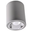 Oprawa sufitowa natynkowa tuba metalowa spot JUPITER 10 GOLDLUX (Polux) DOWNLIGHT E27 szara