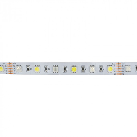 Taśma LED Pasek SMD 5050 14.4W/m 60LED/m 12V 6500K Wielokolorowa RGB + Zimna IP20 Rolka 5m Ecolight