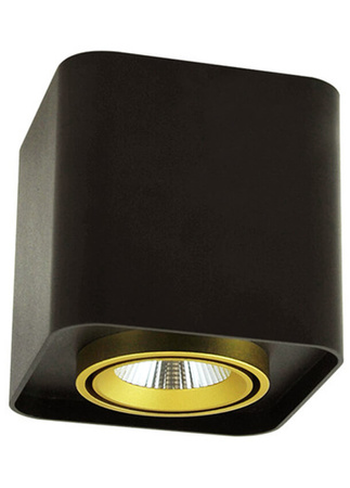 Oprawa Natynkowa LED Kwadratowa XENO 10W 3000K DOWNLIGHT Czarno - Złota