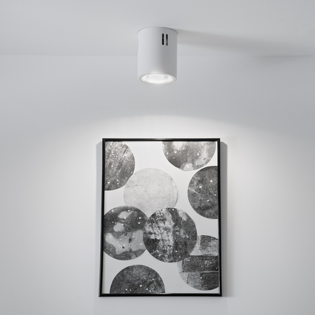 Oprawa Sufitowa Natynkowa Stała Okrągła APUS 10 Spot TUBA Biała E27