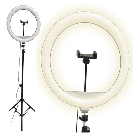 Lampa Podłogowa LED 15W 330lm 2700-4000-6500K Ciepła 360° Czarna Ściemnialna SELFIE Sanico Goldlux