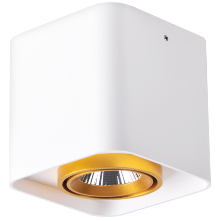 Oprawa Natynkowa LED Kwadratowa XENO 15W 3000K DOWNLIGHT Biało - Złota