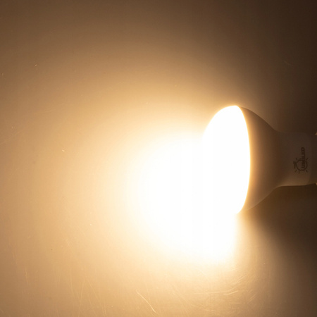 Zestaw 6x Żarówka LED R50 E14 6W = 50W 540lm 3000K Ciepła 120° LUMILED