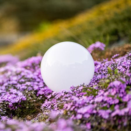 Lampa Solarna Ogrodowa LED ATRIS Wbijana Naziemna Biała Kula 25cm RGB LUMILED