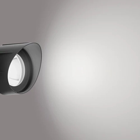 Lampa Ogrodowa Reflektor LED 6W 660lm 4000K IP44 Czarny Low Voltage 12V Philips