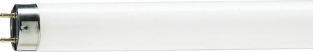 Świetlówka G13 T8 58,5W 2800lm 3800K Neutralna 1500mm MASTER TL-D Food PHILIPS