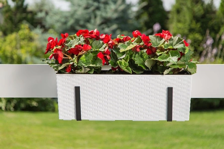 Kwietnik Donica Skrzynka z Wkładem 56 x 19cm Balkonowa Ogrodowa Domowa Rattan Biała