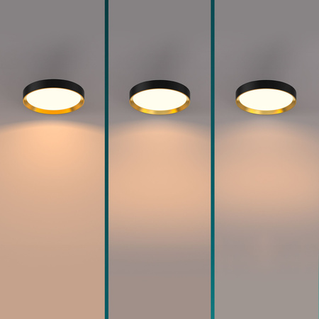 Lampa Sufitowa Plafon LED 24W 2700lm 2700K SceneSwitch Czarna Hanno Philips