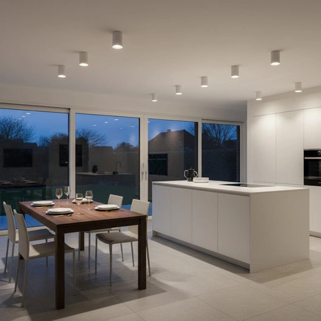 Oprawa sufitowa natynkowa tuba metalowa spot JUPITER 13 typu DOWNLIGHT E27