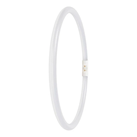 Świetlówka LED Kołowa 2GX13 T5 21.5W 3200lm 6500K Zimna 120° Ledvance