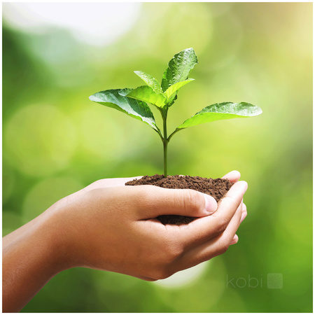 Żarówka LED E27 Kulka 9W 806lm 4000K Neutralna 240° LED2B Kobi