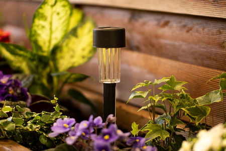 Lampa Ogrodowa LED Solarna Wbijana Czarna 6500K Zimna Biała