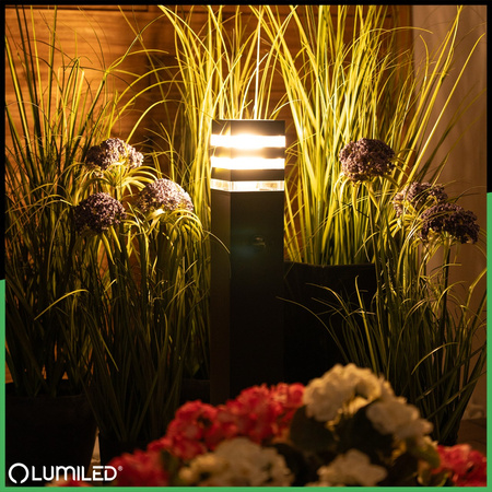 Lampa Ogrodowa Słupek Zewnętrzny Stojący E27 LED Czujnik Ruchu TAXUS 2 60cm LUMILED