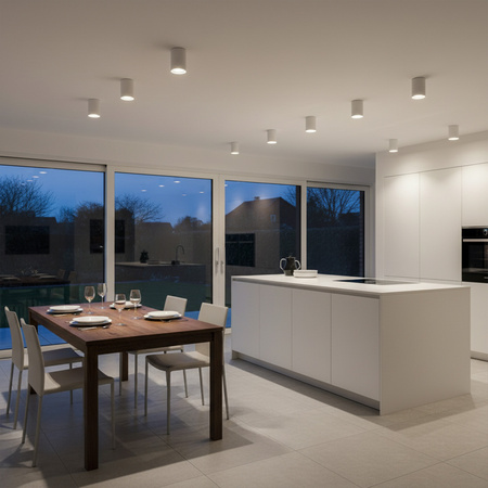 Oprawa sufitowa natynkowa tuba metalowa spot JUPITER 13 typu DOWNLIGHT E27