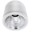Oprawa sufitowa natynkowa tuba metalowa spot JUPITER 17 typu DOWNLIGHT E27