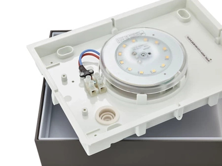 Kinkiet Ogrodowy Lampa Elewacyjna Zewnętrzna LED 6W 600lm 4000K IP44 Antracyt Arbour Philips