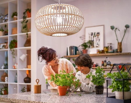 Żarówka LED E27 A67 13W = 120W 2000lm 4000K Neutralna FILAMENT LED Classic Philips