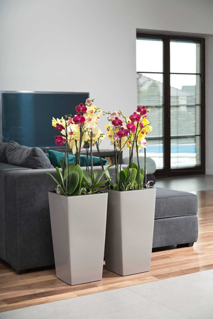 Donica Trapez Ogrodowa z Wkładem Doniczka Dekoracyjna 14x14cm Domowa Kwadratowa do Kwiatów Biała POŁYSK