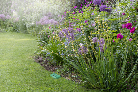 Czujnik Wilgotności Gleby Inteligentny Zielony Osram SMART+ WiFi