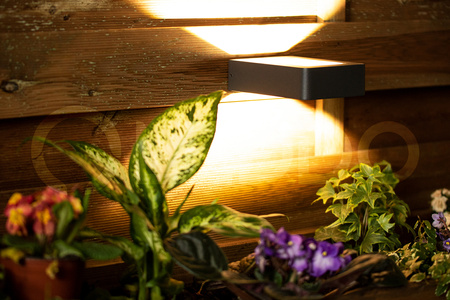 Lampa ogrodowa oprawa ELEWACYJNA KINKIET LED 6W Malta czarna