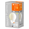 Żarówka LED E27 A67 11W = 100W 2700K Ciepła 1521lm 300° Filament LEDVANCE SMART+ WIFI Ściemnialna