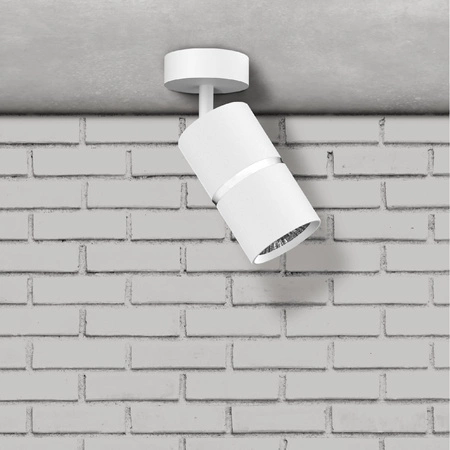 Oprawa Ścienno-Sufitowa Reflektor Punktowy GU10 Biała Srebrna BAMBOO Sanico Goldlux