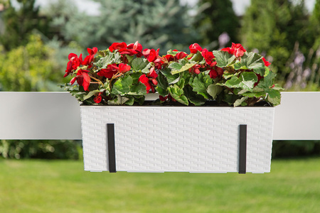 Kwietnik Donica Skrzynka z Wkładem 56 x 19cm Balkonowa Ogrodowa Domowa Rattan Biała