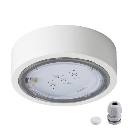 Lampa Znak Awaryjny LED 6W 524lm 5000K Zimny Natynkowa Biała IP65 ITECH Kanlux