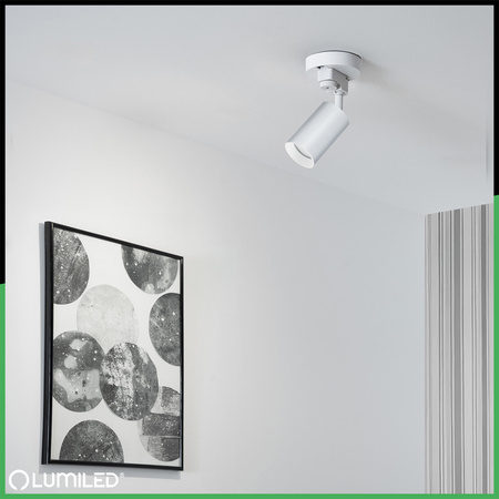 ZESTAW LUMILED SZYNA HUMA BIAŁY + REFLEKTOR SZYNOWY SAGI BIAŁY