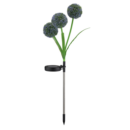 Lampa Solarna LED Dekoracyjna Wbijana Czosnek Kwiat Ogrodowy IP44 z Czujnikiem Zmierzchu Allium Color Sanico Goldlux