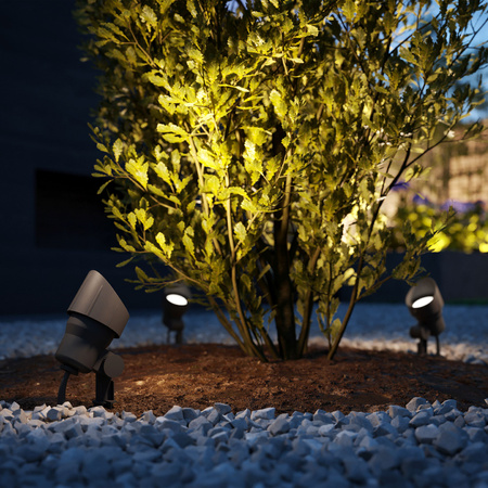 Lampa Ogrodowa Reflektor LED 6W 600lm 2700K IP44 Antracyt Low Voltage 12V Philips