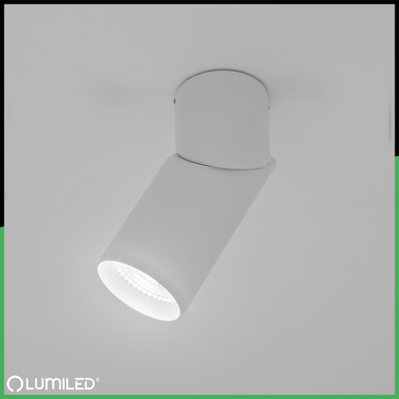 Lampa Sufitowa SPOT TUBA Reflektor Oprawa Halogenowa 1x GU10 TABULA LUMILED